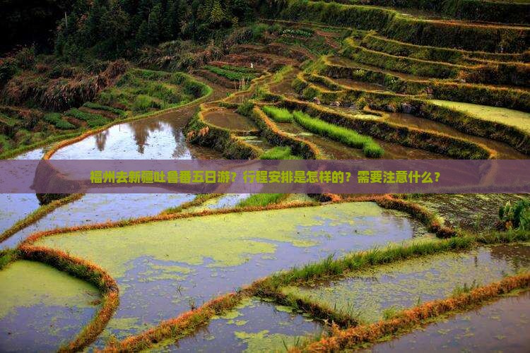 福州去新疆吐鲁番五日游