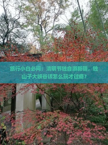 清明节去新疆独山子大峡谷景点