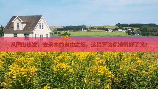 唐山去新疆禾木自由团
