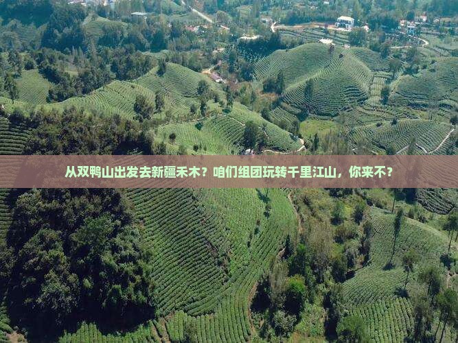 双鸭山到新疆禾木团体旅游