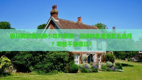 银川到新疆旅游小吃