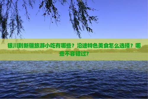 银川到新疆旅游小吃