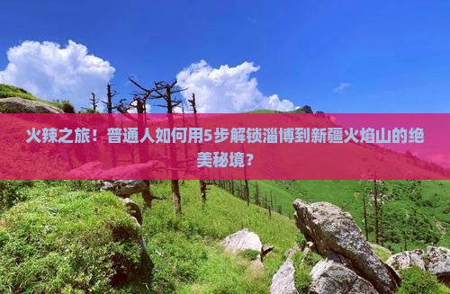 淄博去新疆火焰山旅游