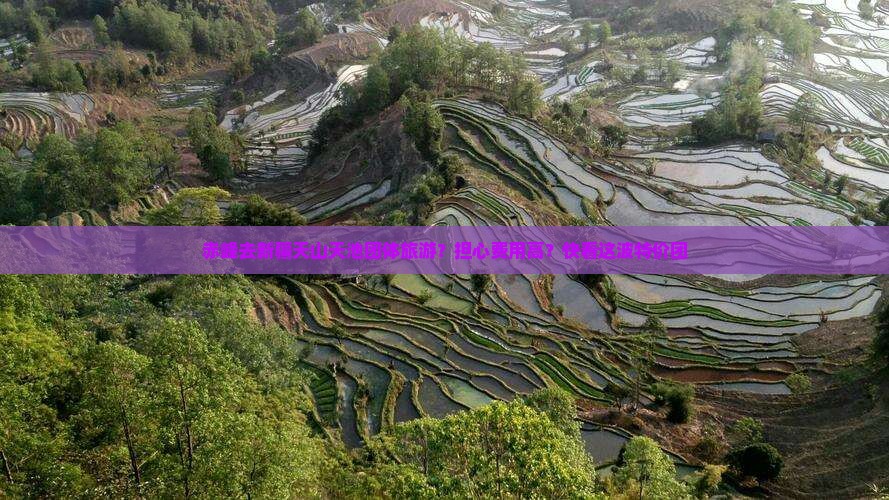 赤峰去新疆天山天池团体旅游