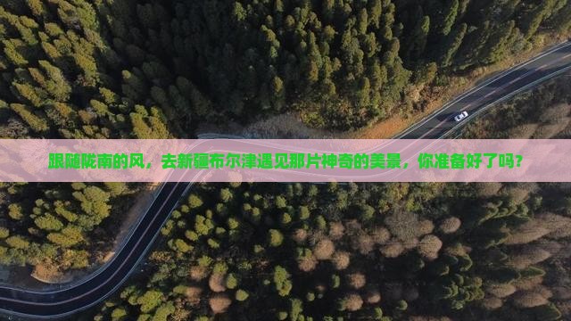 陇南到新疆布尔津景点