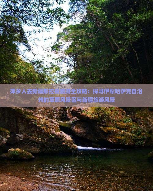 萍乡去新疆那拉提旅游