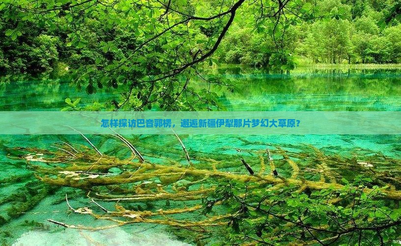 巴音郭楞去新疆伊犁大草原攻略
