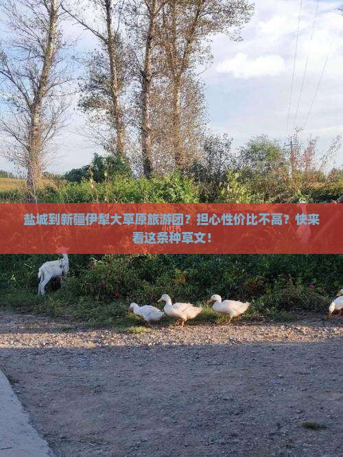 盐城去新疆伊犁大草原大型旅游团