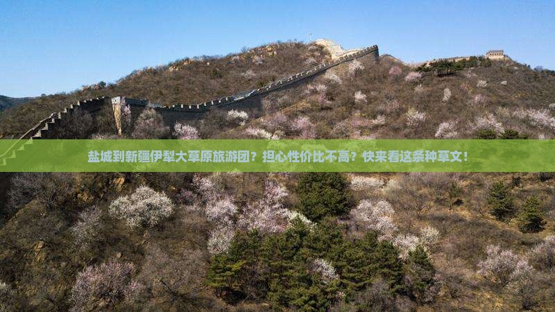 盐城去新疆伊犁大草原大型旅游团