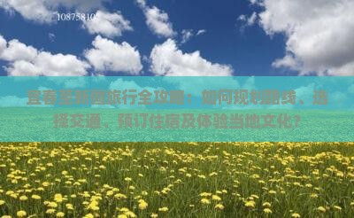 宜春到新疆攻略