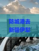 防城港去新疆伊犁大草原大型旅游团