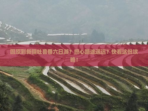固原到新疆吐鲁番六日游