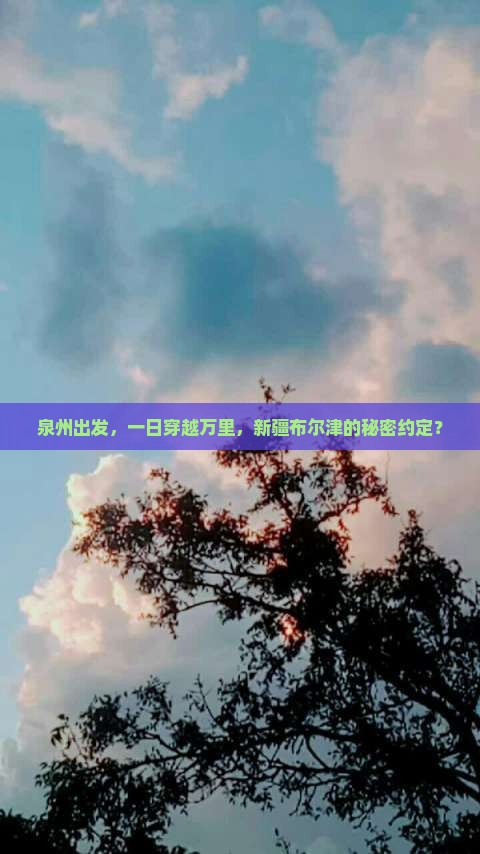 泉州到新疆布尔津一日