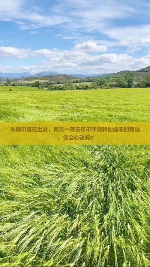 博尔塔拉到新疆布尔津二日游