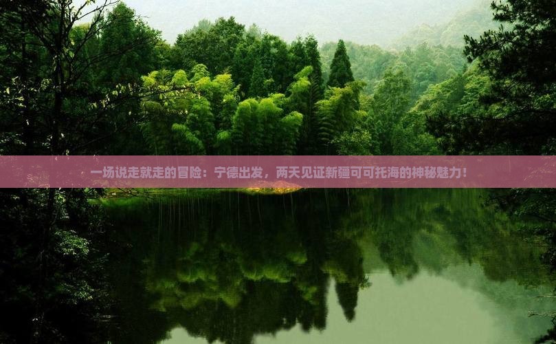 宁德到新疆可可托海二日游