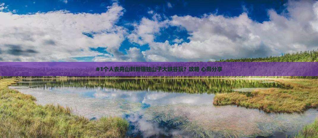 舟山到新疆独山子大峡谷个人游