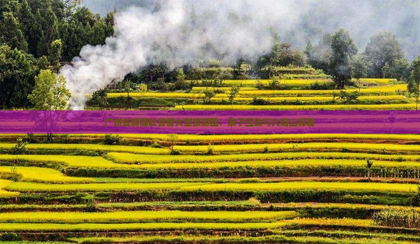 广州去新疆吐鲁番大型旅游团