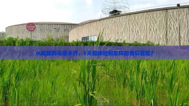 成都到新疆乌鲁木齐五日游