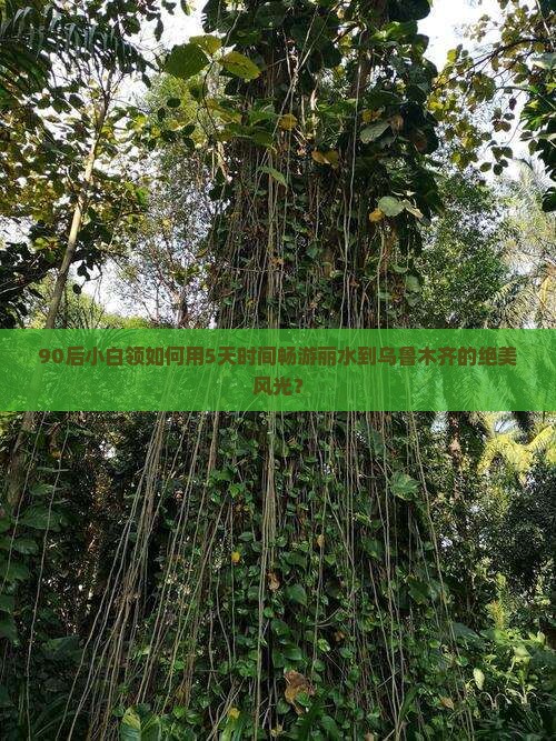 丽水到新疆乌鲁木齐五日游