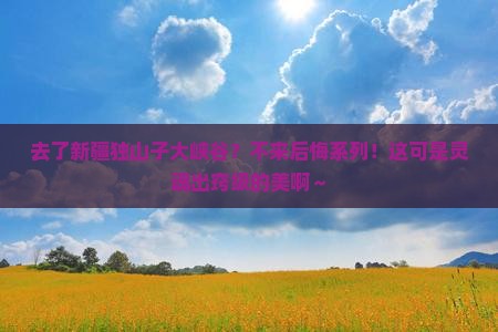 来宾去新疆独山子大峡谷必去地