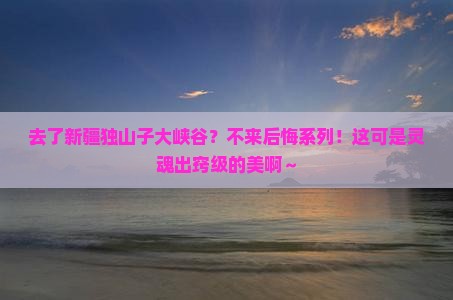 来宾去新疆独山子大峡谷必去地