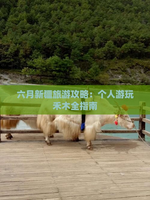 六月到新疆禾木个人游