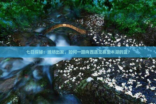 潍坊到新疆赛里木湖七日游