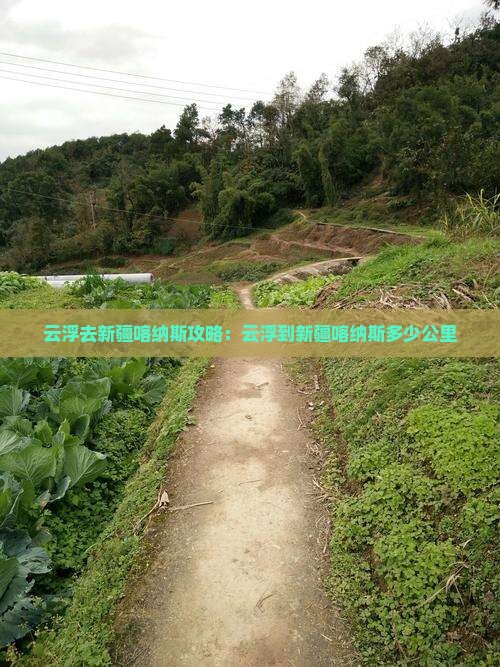 云浮去新疆喀纳斯攻略