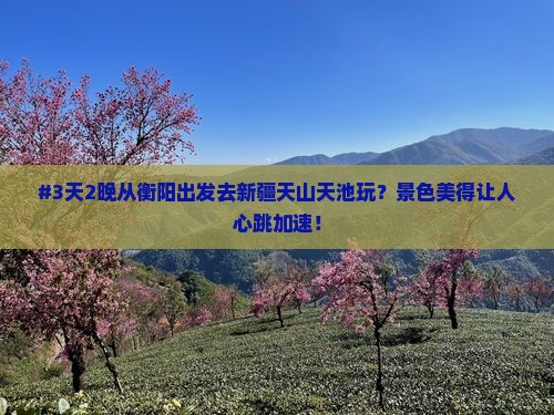 衡阳去新疆天山天池二日游