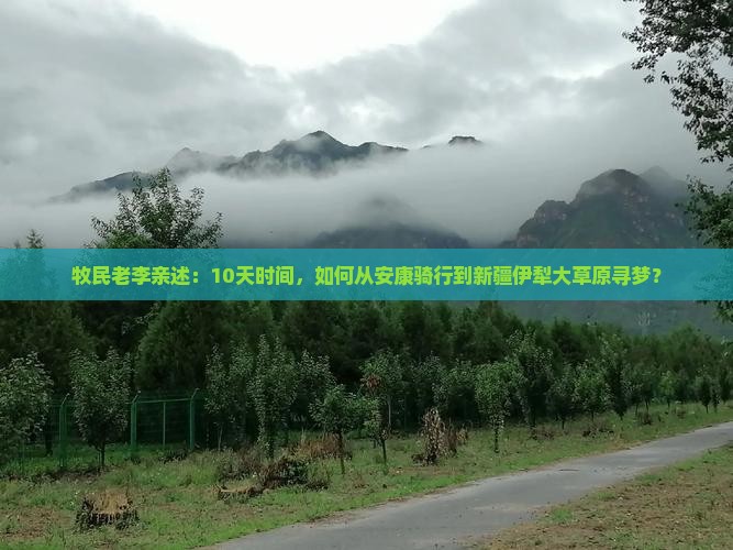 安康去新疆伊犁大草原旅游