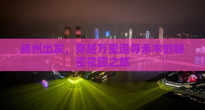 扬州到新疆禾木自由行