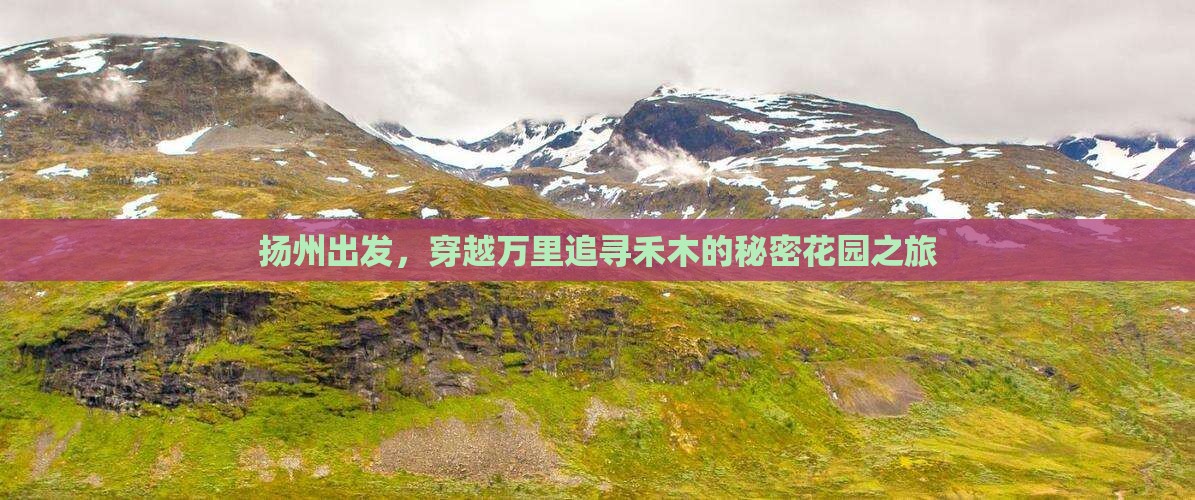扬州到新疆禾木自由行