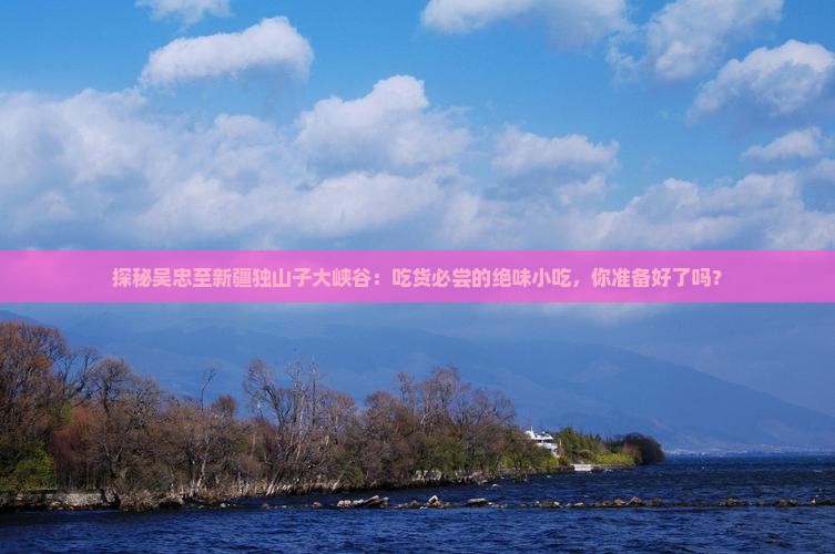 吴忠到新疆独山子大峡谷旅游小吃
